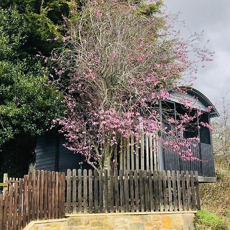 The Cherry Tree Gypsy Wagon บันเบอรี ภายนอก รูปภาพ